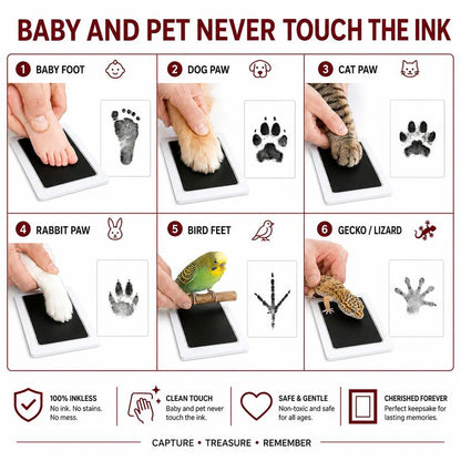 Chonkie - Keepsake Paw Print Kit